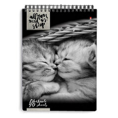 Блокнот А5, 40 л., гребень, ламинированный картон, клетка, Альт, &laquo;Кошки&raquo;, (5 видов), 3-40-462