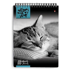 Блокнот А5, 40 л., гребень, ламинированный картон, клетка, Альт, &laquo;Кошки&raquo;, (5 видов), 3-40-462