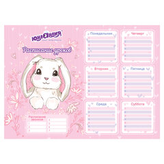 Расписание уроков и звонков А4, ЮНЛАНДИЯ, &laquo;Весёлые зверята&raquo;, ассорти (4 вида), 111655