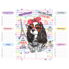 Расписание уроков и звонков А4, ЮНЛАНДИЯ, &laquo;Весёлые зверята&raquo;, ассорти (4 вида), 111655