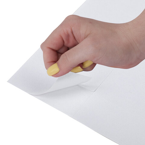 Этикетка самоклеящаяся 48,5х25,4 мм, 44 этикетки 65 г/м2, 100 л., STAFF "EVERYDAY" (сырье Финляндия), 111848