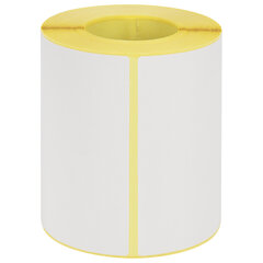 Этикетки термотрансферные, ПОЛУГЛЯНЕЦ, 100&times;150 мм, 250 этикеток в ролике, 111976