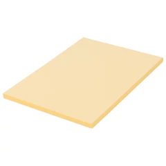 Бумага цветная BRAUBERG, А4, 80 г/<wbr/>м<sup>2</sup>, 100 л., пастель, оранжевая, для офисной техники, 112448