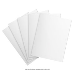 Пенокартон матовый, 70&times;100 см, толщина 5 мм, белый, КОМПЛЕКТ 5 листов, BRAUBERG, 112475