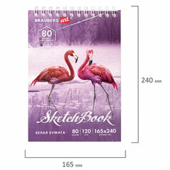 Скетчбук, белая бумага 120 г/<wbr/>м<sup>2</sup> 165&times;240 мм, 80 л., гребень, твердая обложка, BRAUBERG ART DEBUT, 112990