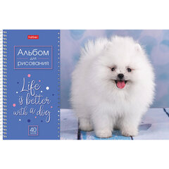 Альбом для рисования А4 40 л., спираль, обложка картон, HATBER, 205х290 мм, "Doggie-Щенки" (4 вида), 067478
