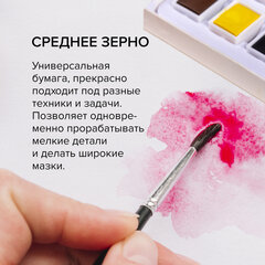 Бумага для акварели ХЛОПОК 100%, 300 г/<wbr/>м<sup>2</sup>, 460&times;660 мм, среднее зерно, 10 листов, BRAUBERG ART, &laquo;PREMIERE&raquo;, 113231