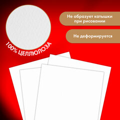 Бумага для акварели 300 г/<wbr/>м<sup>2</sup> 460&times;660 мм мелкое зерно, 10 листов, BRAUBERG ART PREMIERE, 113232