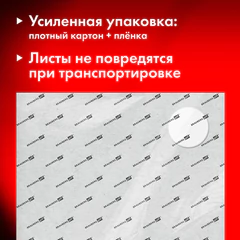 Бумага для акварели 300 г/<wbr/>м<sup>2</sup> 460&times;660 мм крупное зерно, 10 листов, BRAUBERG ART PREMIERE, 113234