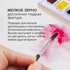 Бумага для акварели 300 г/<wbr/>м<sup>2</sup> 560&times;760 мм мелкое зерно, 10 листов, BRAUBERG ART PREMIERE, 113237