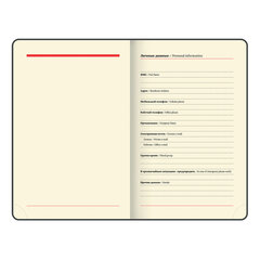 Ежедневник недатированный МАЛЫЙ 100&times;150 мм А6 BRAUBERG &laquo;Metropolis Mix&raquo;, под кожу, 136 л., черный, 113306