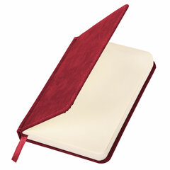 Ежедневник недатированный МАЛЫЙ 100&times;150 мм А6 BRAUBERG &laquo;Status&raquo;, под кожу, 160 л., красный, 113367