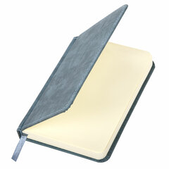 Ежедневник недатированный МАЛЫЙ 100&times;150 мм А6 BRAUBERG &laquo;Status&raquo;, под кожу, 160 л., серо-голубой, 113369