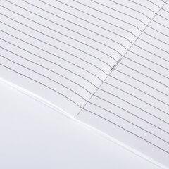 Дневник читательский А5, 40 л., скоба, обложка картон, ПИФАГОР, &laquo;Кот учёный&raquo;, 113447