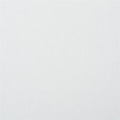 Картон белый А4 МЕЛОВАННЫЙ (белый оборот), 50 листов, в коробке, BRAUBERG, 210&times;297 мм, 113563