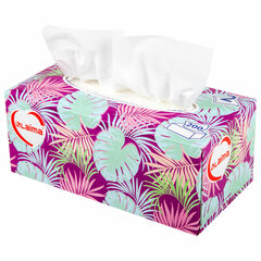 Салфетки косметические 200 шт. в картонном боксе 2-слойные, LAIMA &laquo;Everyday&raquo;, 20&times;20 см, 113589