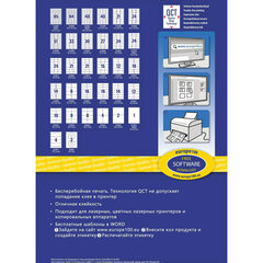 Этикетка самоклеящаяся 210&times;297 мм, 1 этикетка, белая, 70 г/<wbr/>м<sup>2</sup>, 100 л., Avery, Европа-100, ELA027