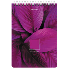 Блокнот А5 (146&times;206 мм), 80 л., гребень, картон, клетка, BRAUBERG, &laquo;Яркие листья&raquo;, 114372