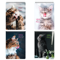 Блокнот А5 (146&times;206 мм), 80 л., гребень, картон, клетка, BRAUBERG, &laquo;Довольные коты&raquo;, 114374