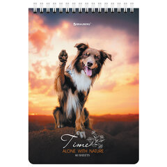 Блокнот А5 (146&times;206 мм), 80 л., гребень, картон, клетка, BRAUBERG, &laquo;Грациозные собаки&raquo;, 114376