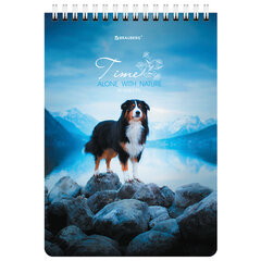 Блокнот А5 (146&times;206 мм), 80 л., гребень, картон, клетка, BRAUBERG, &laquo;Грациозные собаки&raquo;, 114376