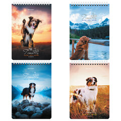 Блокнот А5 (146&times;206 мм), 80 л., гребень, картон, клетка, BRAUBERG, &laquo;Грациозные собаки&raquo;, 114376