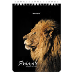 Блокнот А5 (146&times;206 мм), 80 л., гребень, картон, жесткая подложка, клетка, BRAUBERG, &laquo;Хищники&raquo;, 114385