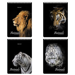 Блокнот А5 (146&times;206 мм), 80 л., гребень, картон, жесткая подложка, клетка, BRAUBERG, &laquo;Хищники&raquo;, 114385