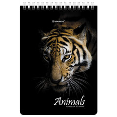 Блокнот А5 (146&times;206 мм), 80 л., гребень, картон, жесткая подложка, клетка, BRAUBERG, &laquo;Хищники&raquo;, 114385