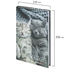 Блокнот А5 (134&times;206 мм), 80 л., твёрдый, клетка, STAFF, &laquo;Котики&raquo;, 114413