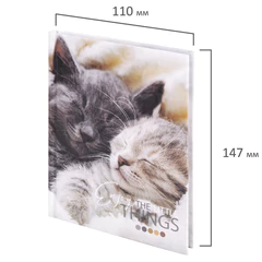 Блокнот МАЛЫЙ ФОРМАТ (110&times;147 мм), А6, 80 л., твёрдый, клетка, STAFF, &laquo;Котики&raquo;, 114439