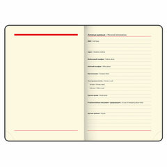 Ежедневник недатированный БОЛЬШОЙ ФОРМАТ 210&times;297 мм, А4, BRAUBERG &laquo;Iguana&raquo;, под кожу, 160 л., черный,114452