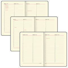 Ежедневник недатированный БОЛЬШОЙ ФОРМАТ 210&times;297 мм, А4, BRAUBERG &laquo;Iguana&raquo;, под кожу, 160 л., черный,114452