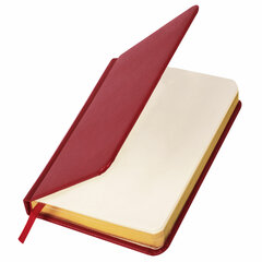 Ежедневник недатированный МАЛЫЙ ФОРМАТ 100&times;150 мм, А6, BRAUBERG &laquo;Iguana&raquo;, под кожу, 160 л., красный, 114468