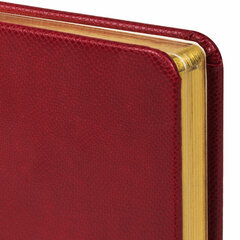 Ежедневник недатированный МАЛЫЙ ФОРМАТ 100&times;150 мм, А6, BRAUBERG &laquo;Iguana&raquo;, под кожу, 160 л., красный, 114468