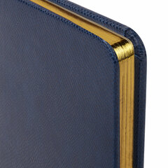 Еженедельник недатированный МАЛЫЙ ФОРМАТ 95&times;155 мм, А6, BRAUBERG &laquo;Iguana&raquo;, под кожу, 64 л., синий, 114479