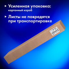 Бумага для акварели А1 (600&times;850 мм), КОМПЛЕКТ 5 листов, среднее зерно, 200 г/<wbr/>м<sup>2</sup>, ГОЗНАК, BRAUBERG ART CLASSIC, 114488