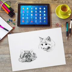 Бумага для рисования и графики в папке БОЛЬШАЯ А3, 20 л., 200 г/<wbr/>м<sup>2</sup>, ВАТМАН ГОЗНАК, BRAUBERG ART CLASSIC, 114491