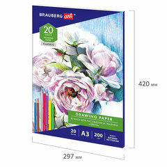 Бумага для рисования и графики в папке БОЛЬШАЯ А3, 20 л., 200 г/<wbr/>м<sup>2</sup>, ВАТМАН ГОЗНАК, BRAUBERG ART CLASSIC, 114491