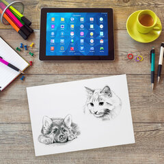 Бумага для рисования и графики в папке А4, 20 л., 200 г/<wbr/>м<sup>2</sup>, ВАТМАН ГОЗНАК, BRAUBERG ART CLASSIC, 114492