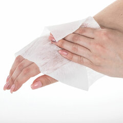 Салфетка влажная антибактериальная 13&times;17 см в индивидуальной упаковке саше, LAIMA WET WIPE, 114493