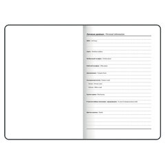 Ежедневник недатированный с резинкой А5 (145&times;203 мм), BRAUBERG, твердый, фольга, 128 л., &laquo;Almond&raquo;, 114568