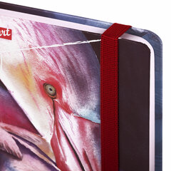 Скетчбук, белая бумага 120 г/<wbr/>м<sup>2</sup>, 145&times;203 мм, 80 л., резинка, твердый, BRAUBERG ART DEBUT &laquo;Фламинго&raquo;, 114584