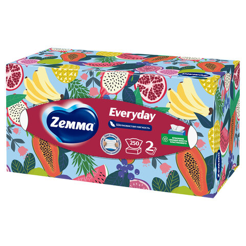 Салфетки косметические 2-слойные в картонном коробе, 250 штук, ZEMMA/ZEWA Everyday, 86791