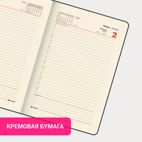 Ежедневник датированный 2024 А5 138x213 мм, BRAUBERG "Flap", под кожу, органайзер, серый, 114971