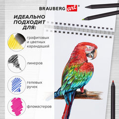 Скетчбук, белая бумага 100 г/м2, 140х201 мм, 60 л., гребень, жёсткая подложка, BRAUBERG ART DEBUT, "Аниме", 115061