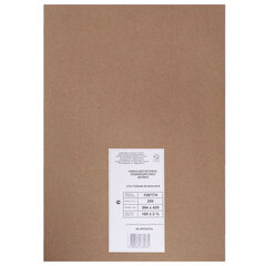 Ватман, формат А2 (594&times;420 мм), 1 лист, плотность 200 г/<wbr/>м<sup>2</sup>, ГОЗНАК Краснокамск