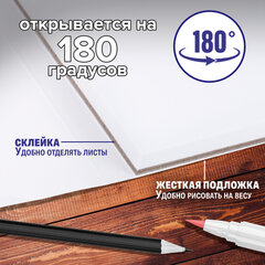 Альбом для графики и маркеров, "БРИСТОЛЬ" 200 г/м2, 190х270 мм, 30 листов, склейка, BRAUBERG ART PREMIERE, 115097