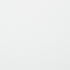 Картон белый А4 МЕЛОВАННЫЙ (белый оборот), 10 листов, в папке, BRAUBERG KIDS, 200&times;283, 115161