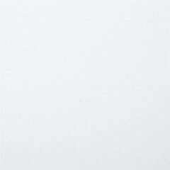 Картон белый А4 МЕЛОВАННЫЙ (белый оборот), 8 листов, BRAUBERG, 200&times;280 мм, 115491